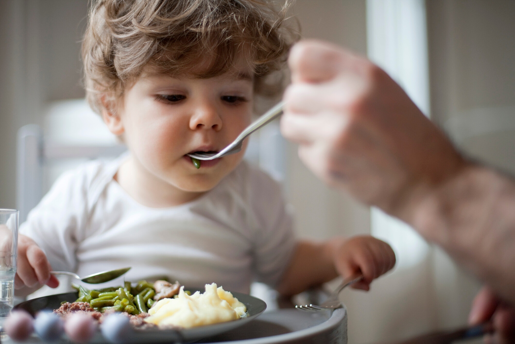 Toddler Meal Guide: Everything About His Nutrition | Baby and Me
