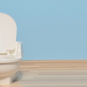 TOILET TOILET