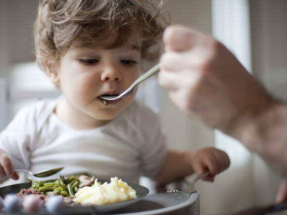 A child eating lunch according to the toddler meal guide