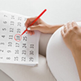 Ovulation Calendar